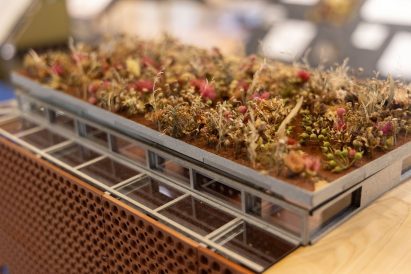 Close up image of a student architectural model, featuring a plant-filled roof
