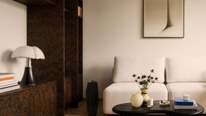 Mid-century apartment renovation