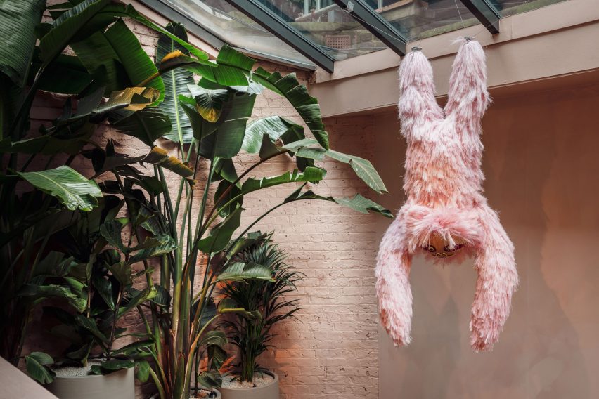 Pink sloth hanging next to house plants
