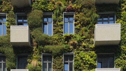 Green wall