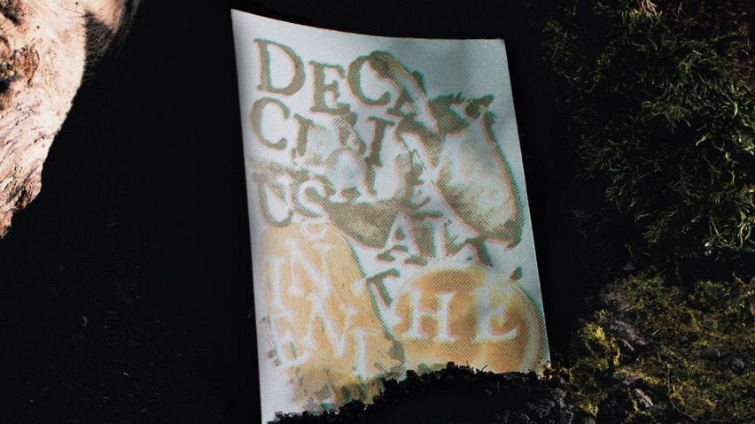 a photograph of a piece of paper in tones of brown, beige and white, positioned on a forest floor