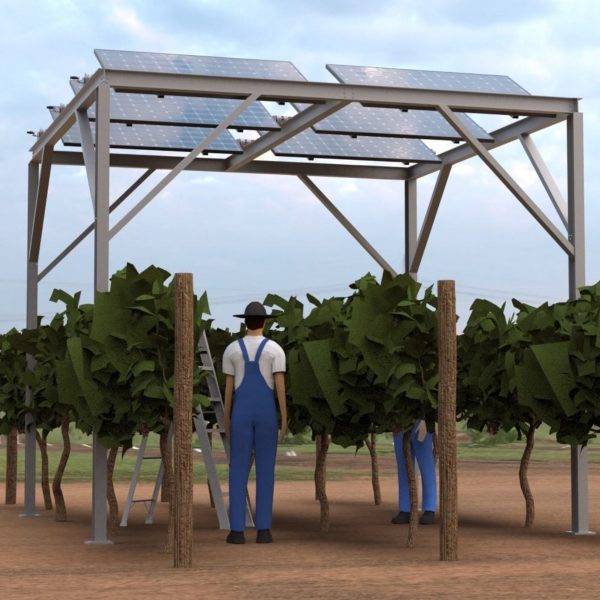 a visualisation of a structure over plants