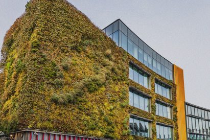 Green wall on a building