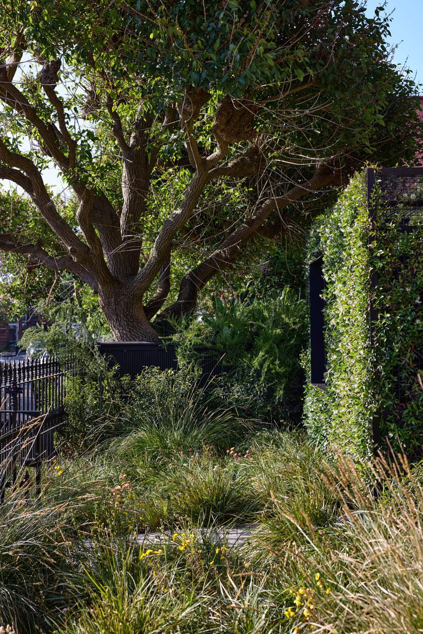 Mygunyah by the Circus by Matt Gibson Architecture + Design
