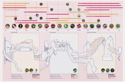diagrams in tones of pink, orange and blue representing a food infrastructure system
