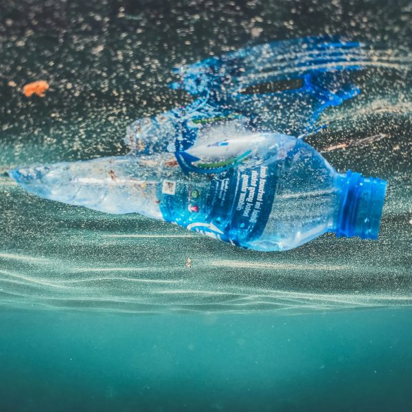 Plastic bottle floating in the sea