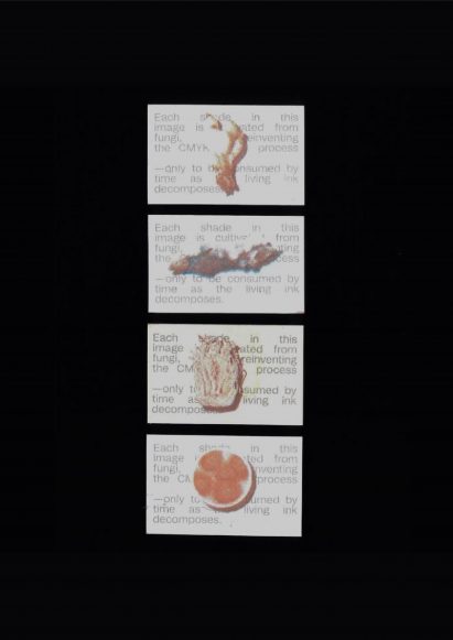 an image showing white cards with brown, red and beige images and text on them