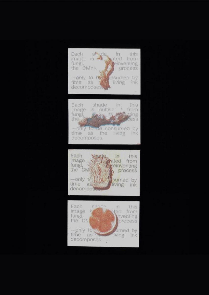 an image showing white cards with brown, red and beige images and text on them