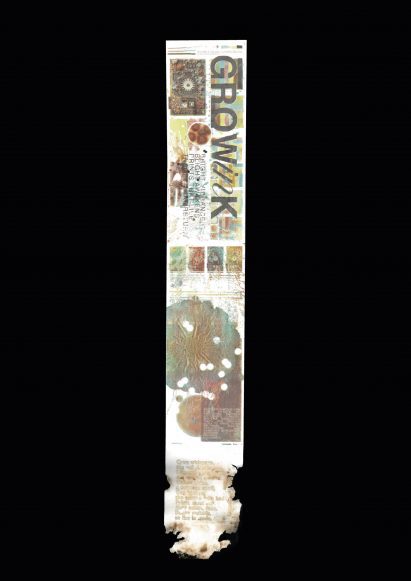 a photograph of a piece of paper in tones of white, brown, green and beige