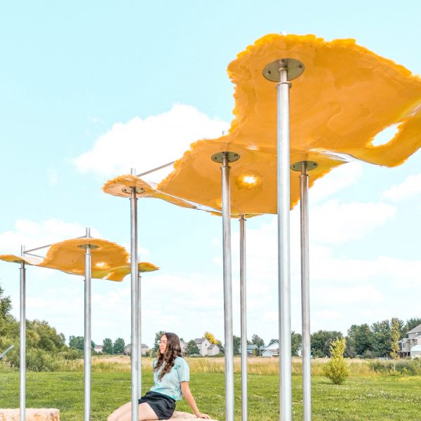 Puddle Pavilion