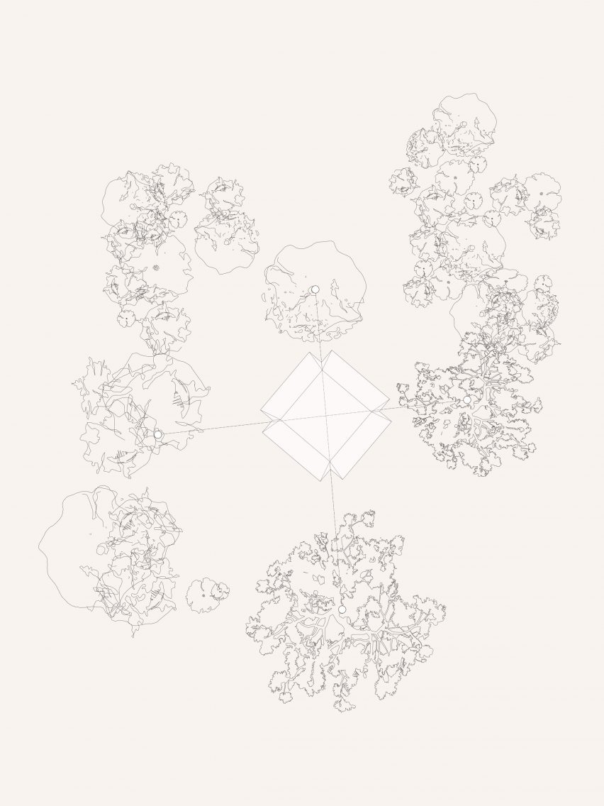 Plan of the Pulse installation at Houghton Festival by EBBA's Benni Allan