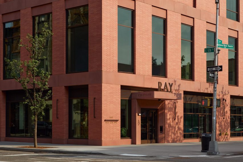 Ray Harlem in New York City