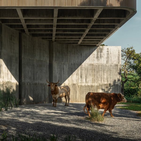 W House II by IDIN Architects