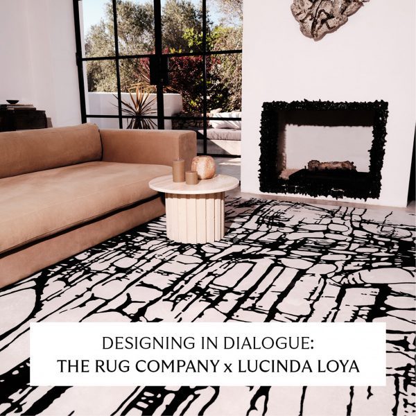 Photo of living room with patterned rug with text overlay