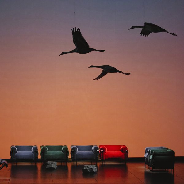 Photo of birds flying about seating