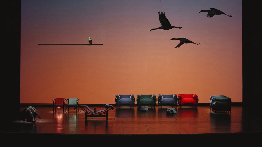Photo of birds flying about seating