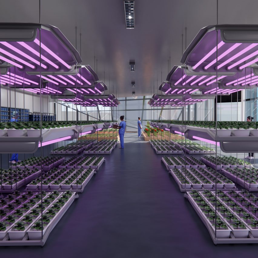 Vivarium: A Place Where Life Grows by Ludovica Frau