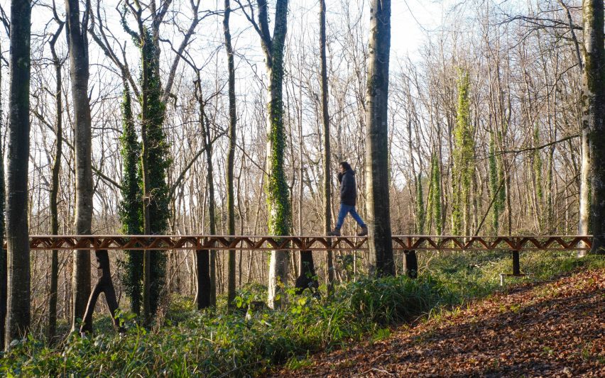 Photo of a person walking along A Forest Datum elevated forest walkway