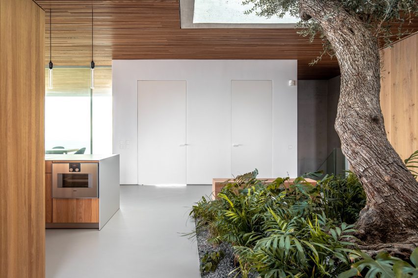 Barcelona House by Ström Architects