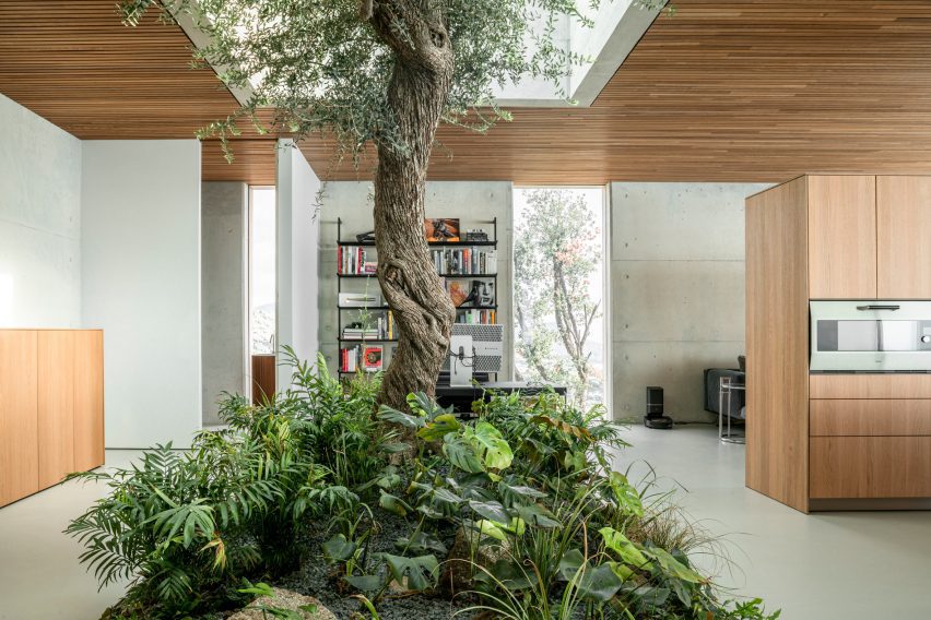 Barcelona House by Ström Architects