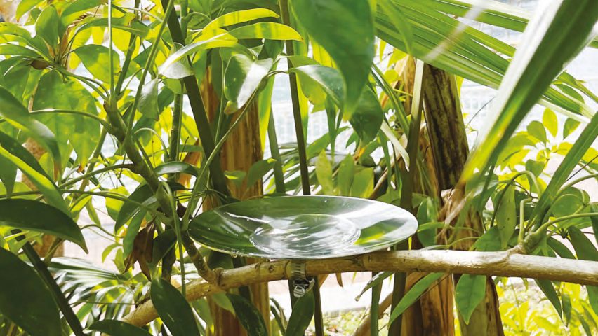 Kazuyo Sejima bird feeder
