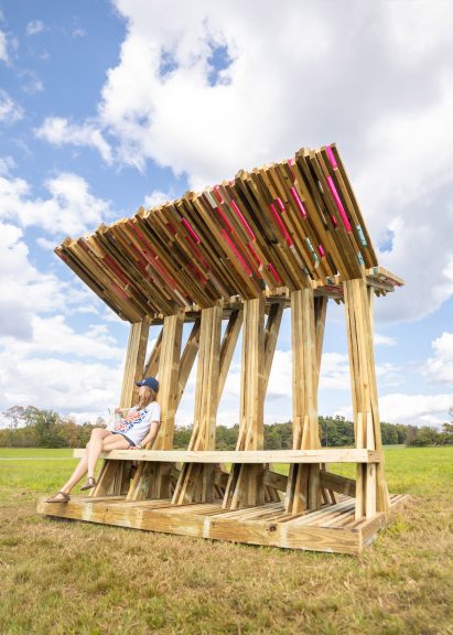 Trillium installation by Rice University at BuildFest