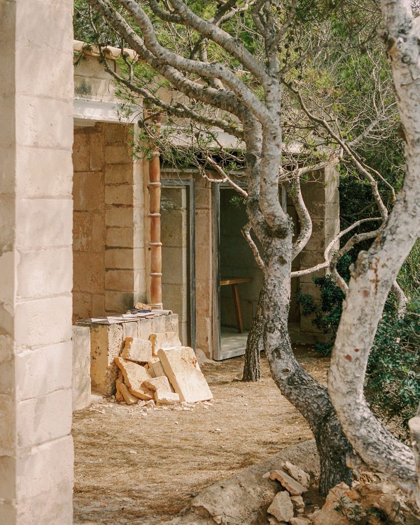 Tree outside Jørn Utzon's Can Lis photographed by Alex Dormon