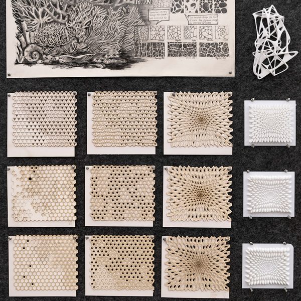 a photograph of student work being displayed