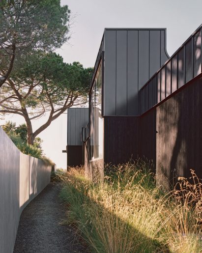 Exterior of a home with blackened wood and metal cladding with grasses planted in front