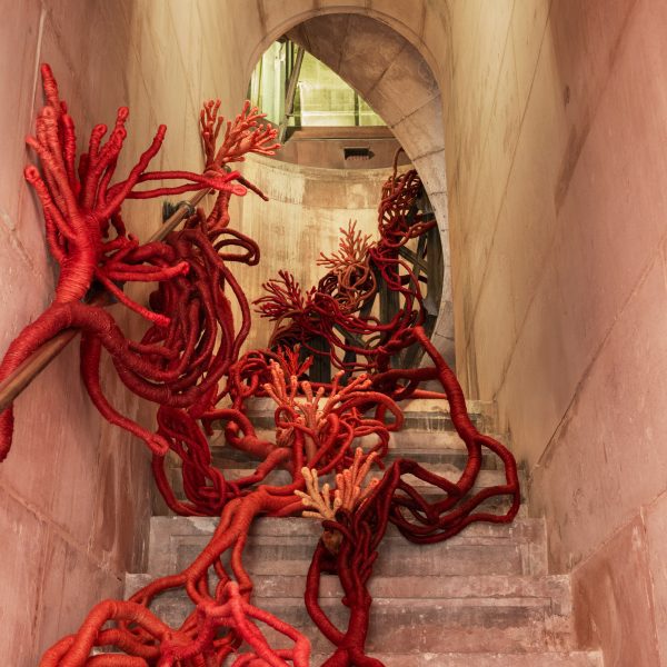 Corals of Liberty installation by Aude Franjou at Paris Design Week 2025