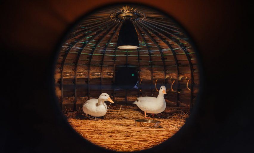 Circular windows and lighting in duck shelter