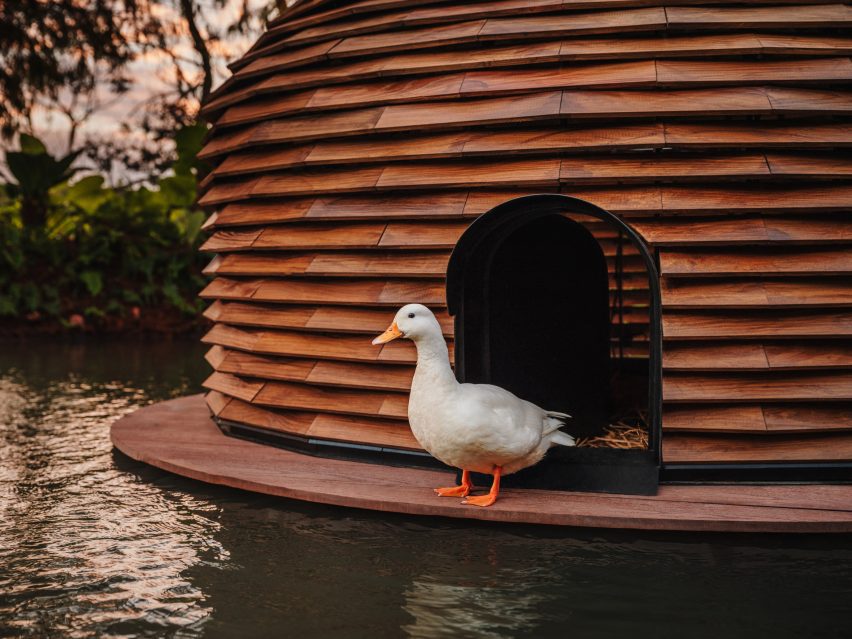 Duck resting on edge of shelter