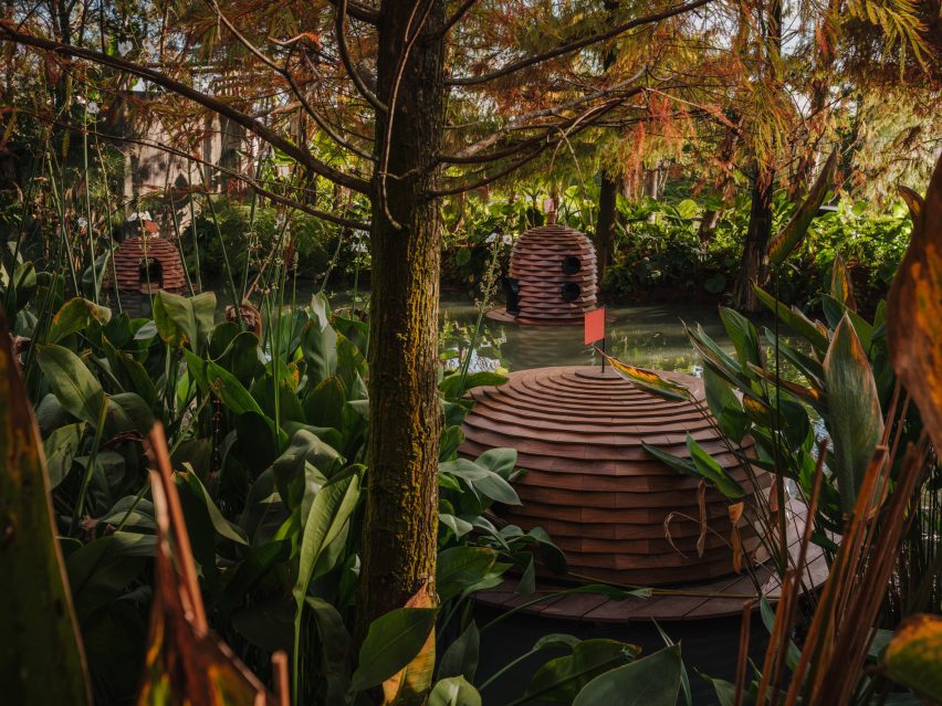 Wooden duck shelters nestled among pond vegetation