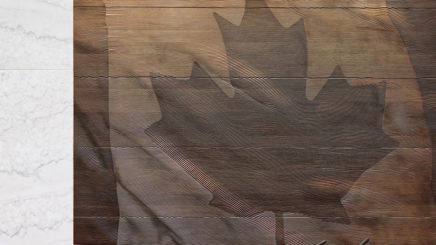 Ottawa