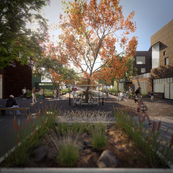 a visualisation of a garden in tones of green and brown
