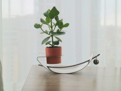 Tilt planter designed by Central Saint Martins graduate Doris Xu
