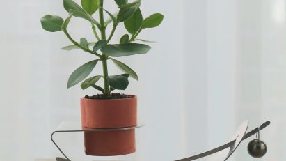 Tilt planter designed by Central Saint Martins graduate Doris Xu