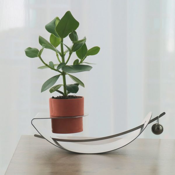 Tilt planter designed by Central Saint Martins graduate Doris Xu
