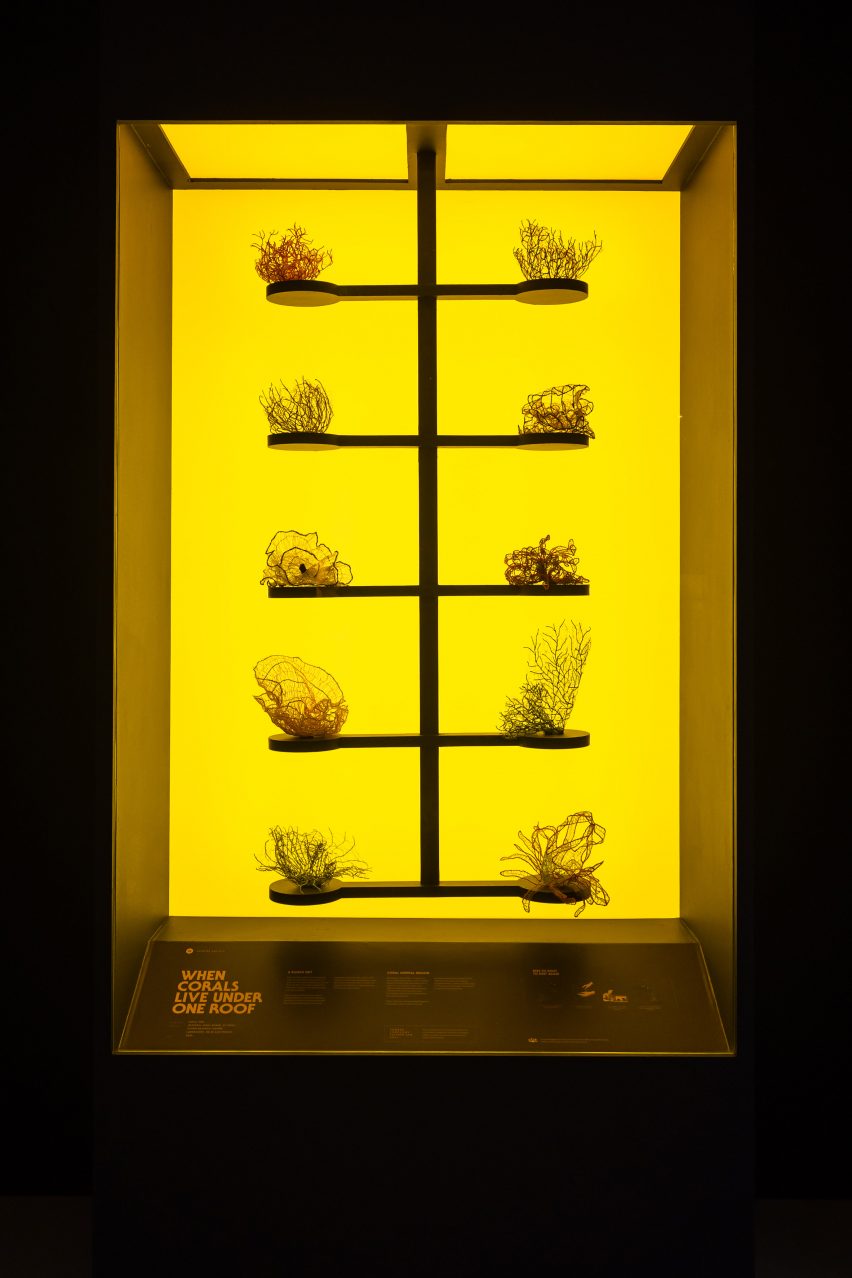 Unnatural History Museum of Singapore