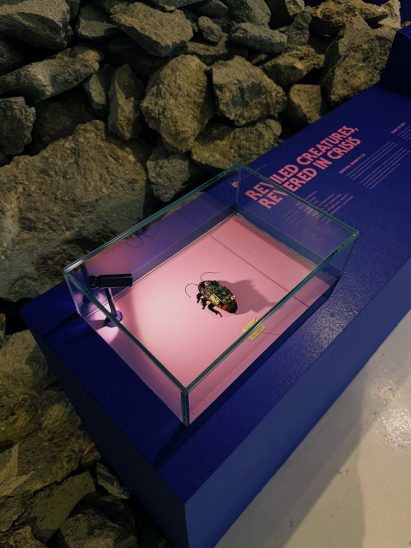 View of artefact on display at the Unnatural History Museum of Singapore