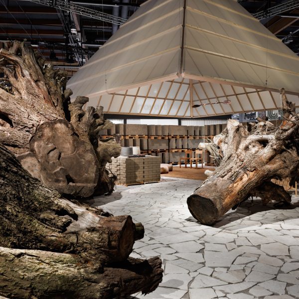 Habitare themed exhibition featuring felled trees