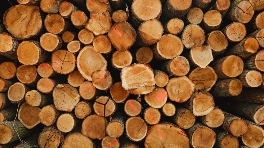 Photo of wood