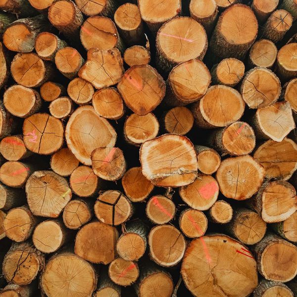 Photo of wood