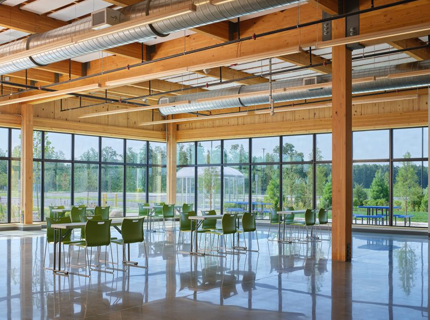 Mass timber office