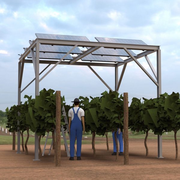 a vineyard with an energy-efficient system on it