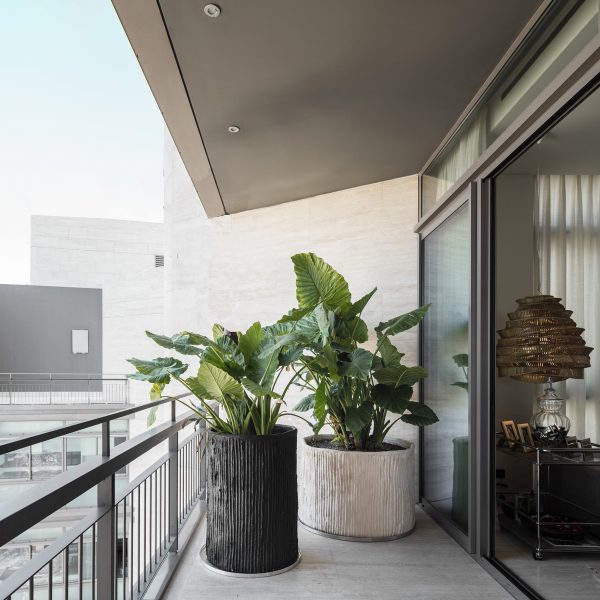 Planters by Gray Gardens