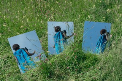 a photograph of images in grass