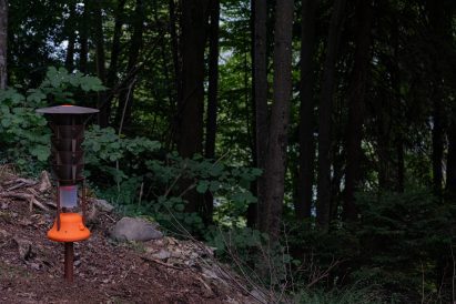 a photograph of a sensory in a forest
