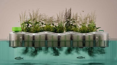 a planter in water