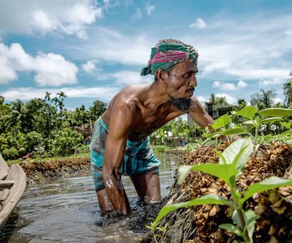 Baira floating islands, Bangladesh